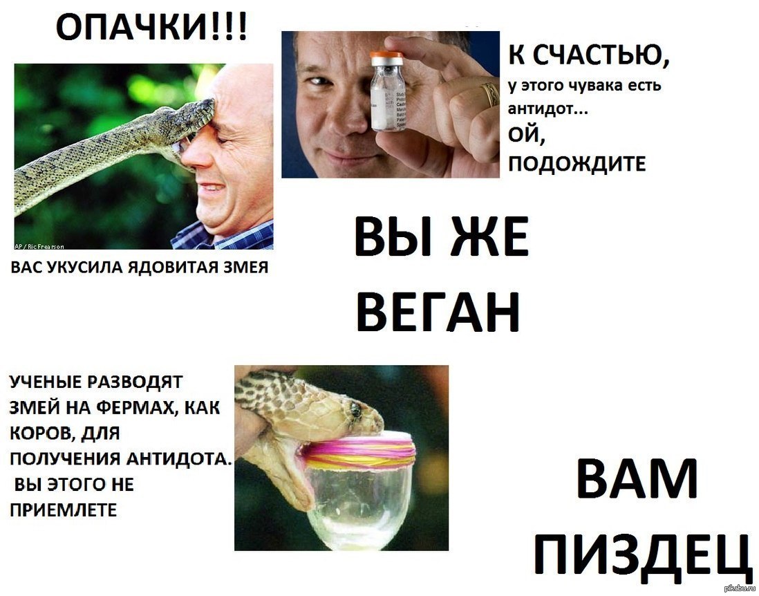 Веган цитаты