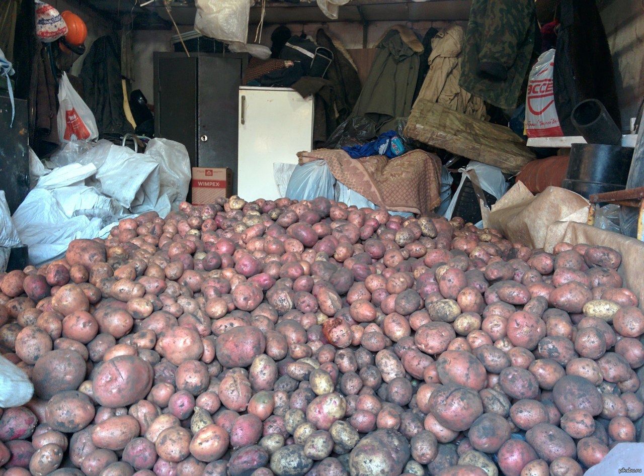 Картошка в гараже