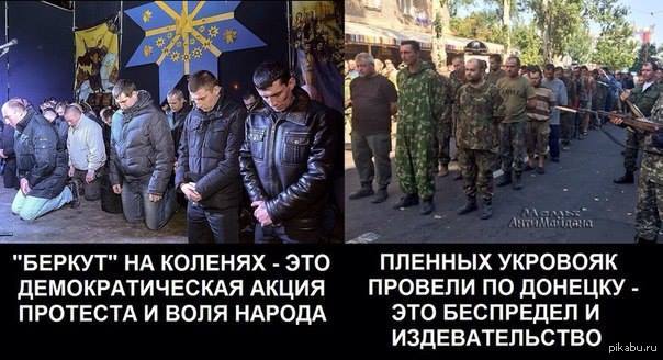 Львовский беркут на коленях. Украинские пленные на коленях. Украинский Беркут на коленях. Украина 2014 Беркут на коленях.