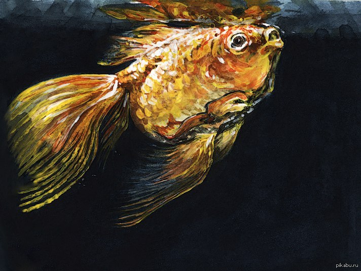 Золотая рыбка великие. Золотая рыбка поталью. Картина рыбы. Рыбки маслом.