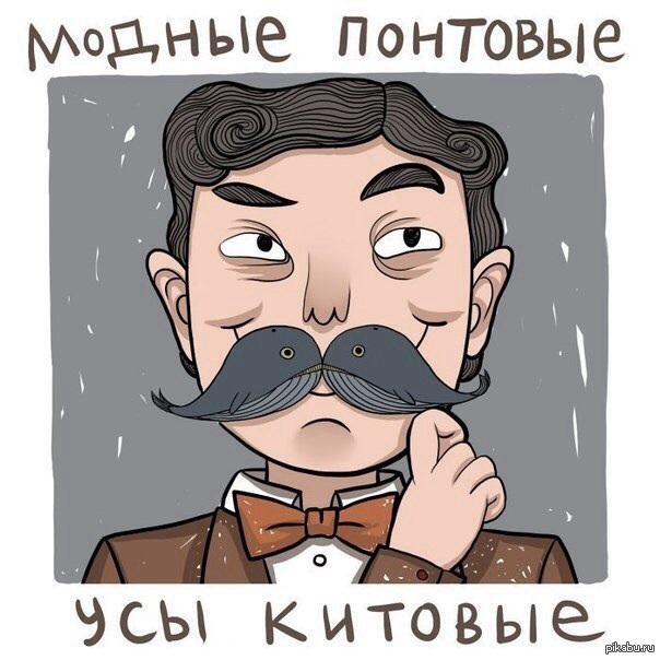 Сходил в этот барбершоп. Усы прикол. Усатый прикол. Шутки про усы. Усы прикольные картинки.