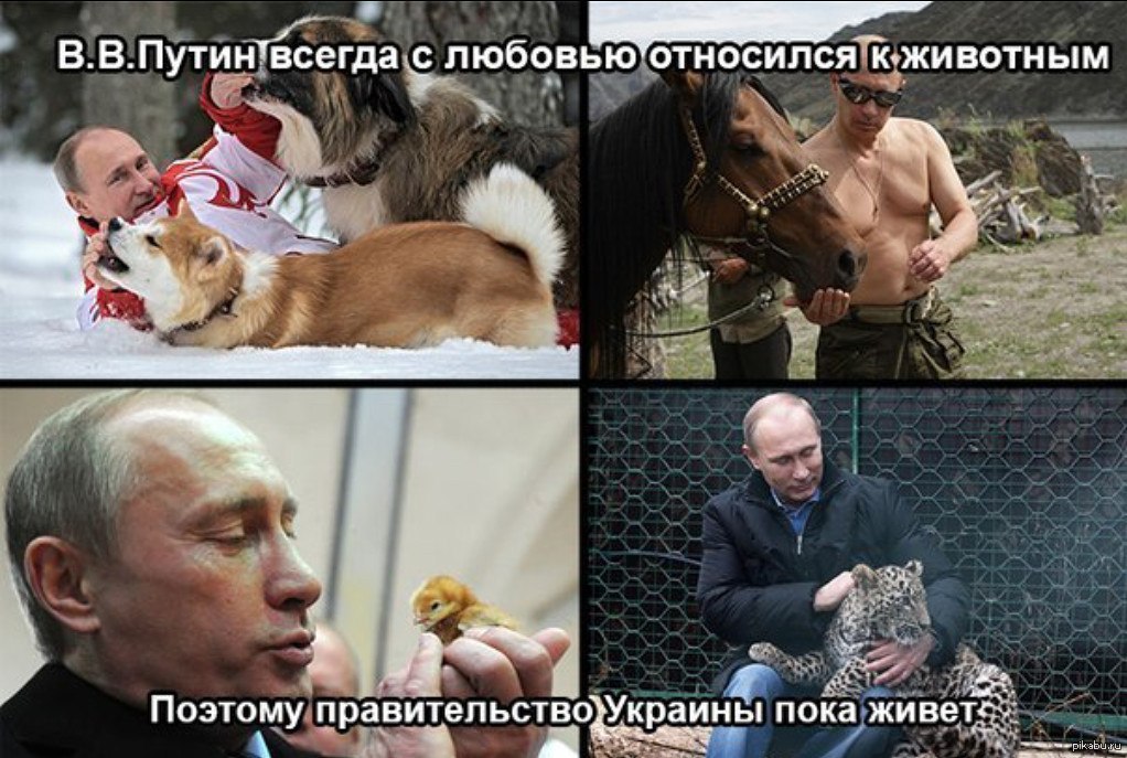 Путин =) | Пикабу