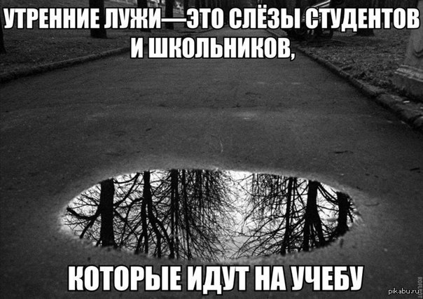 Лужа мем. Лежит мем. Лежит в луже слез. Чувак лежит в луже слез. Человечек лежит в луже.
