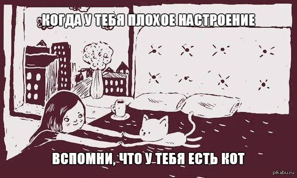 Антистресс | Пикабу