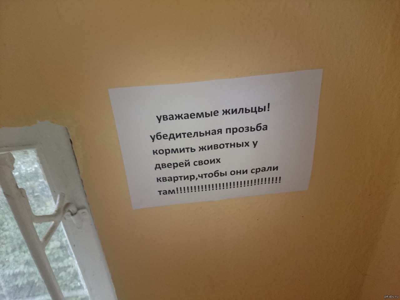 Просьба как пишется правильно. Уважаемые жильцы убедительная. Прозьба или просьба. Прозьба или просьба проверочное. Правописание просьба или прозьба.