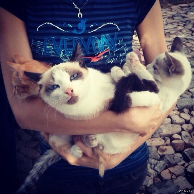 Дома у родителей =^-^= | Пикабу