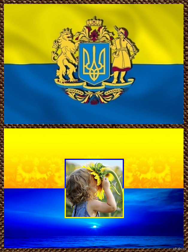 Флаг Украины | Пикабу