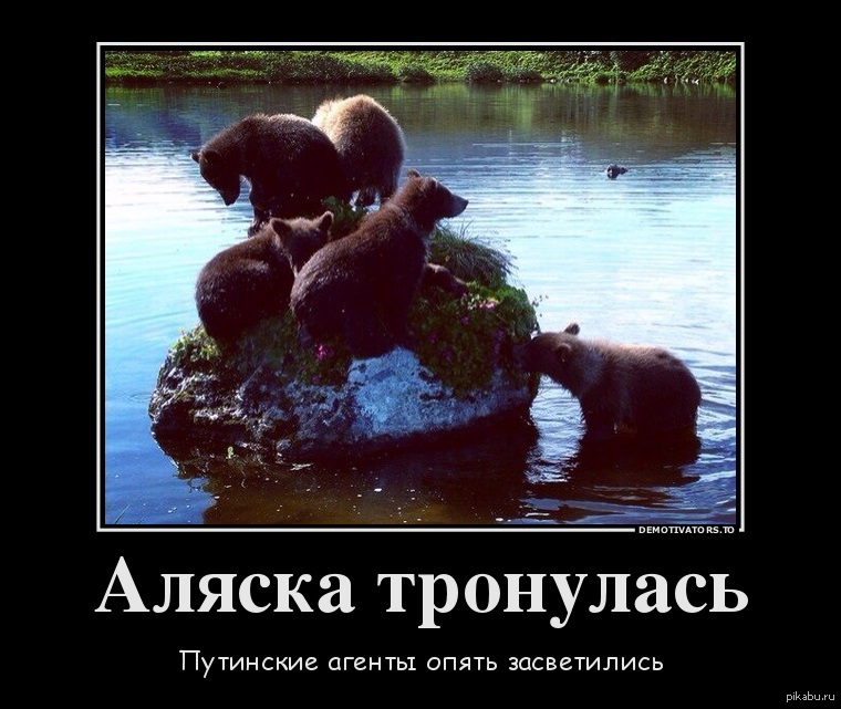 демотиваторы аляска наша