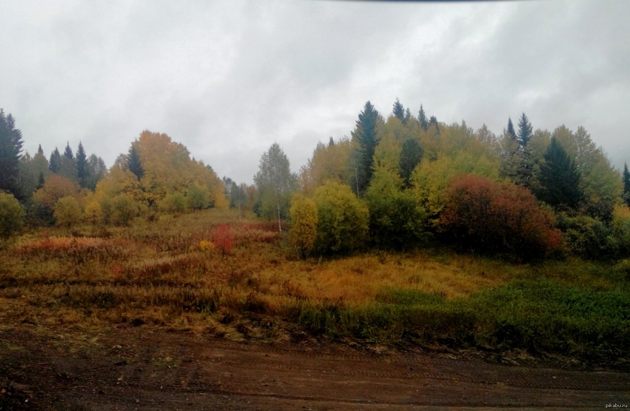 Осень во всей ее красе... | Пикабу