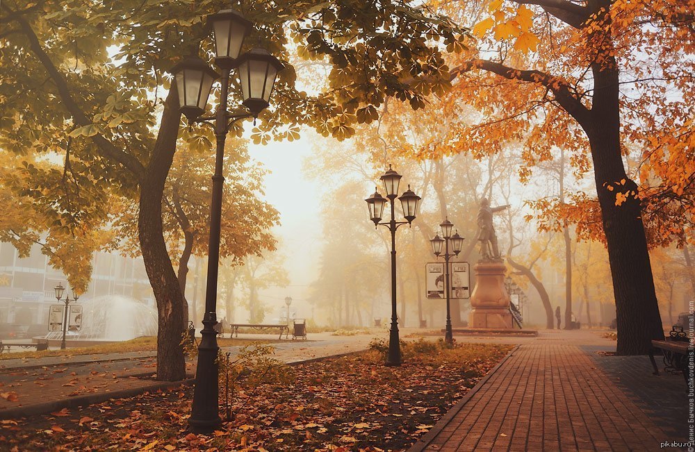 Осенний Сквер Фото