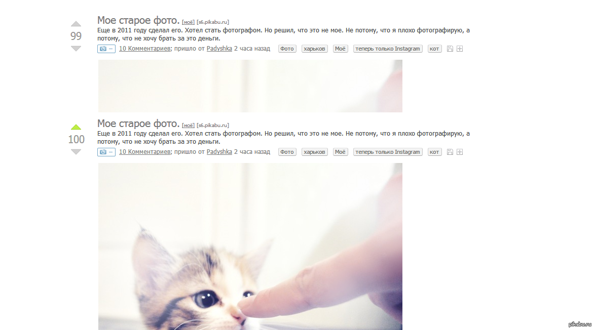 Комментарий. Оставьте комментарий. Коммент работа. Коммент работа. Комментарии комментариев.