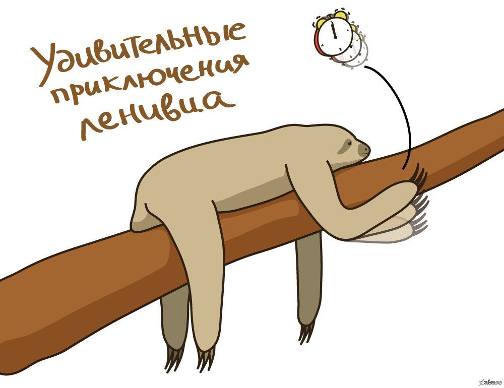 The Amazing Adventures of a Sloth - My, My, Creation, Illustration, Illustrations, Sloth, Morning, Drawing