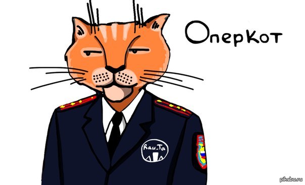 Коп и кот. Кот милиционер. Кот полиция. Коты в полицейской форме. Кот в форме полиции.