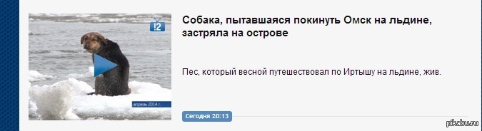 Нельзя покидать. Не пытайся покинуть Омск. Нельзя покинуть Омск. Омск-Омск не пытайтесь покинуть Омск. Не пытайся покинуть Омск Мем.