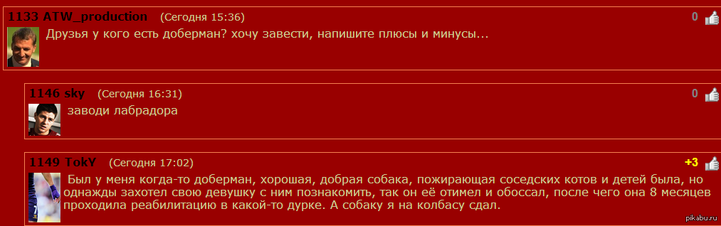 Доберман | Пикабу