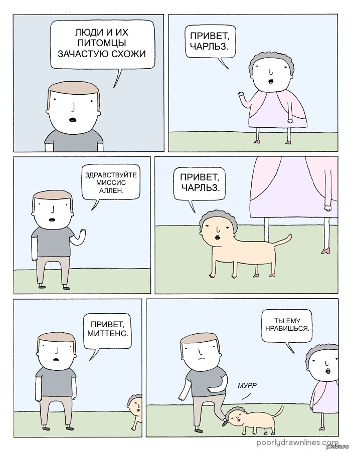 жан пэт. английский язык 5 класс рабочая тетрадь стр 43. хэв дог песня. Their pets перевод. Their pets перевод.