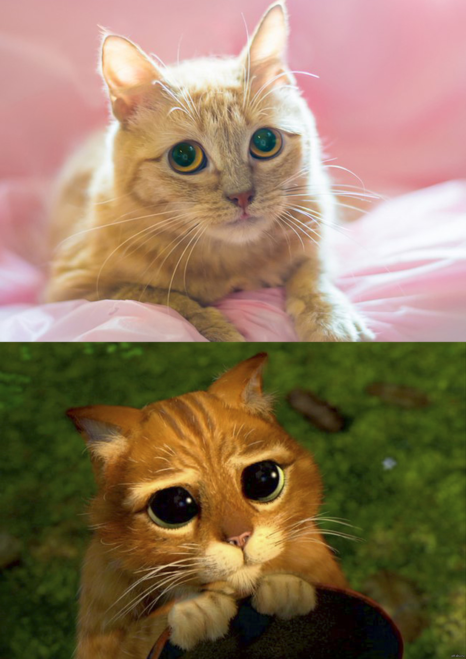 Существует мем. Что он существует уже. Что он существует уже. Что он существует уже. Лютые мемы.