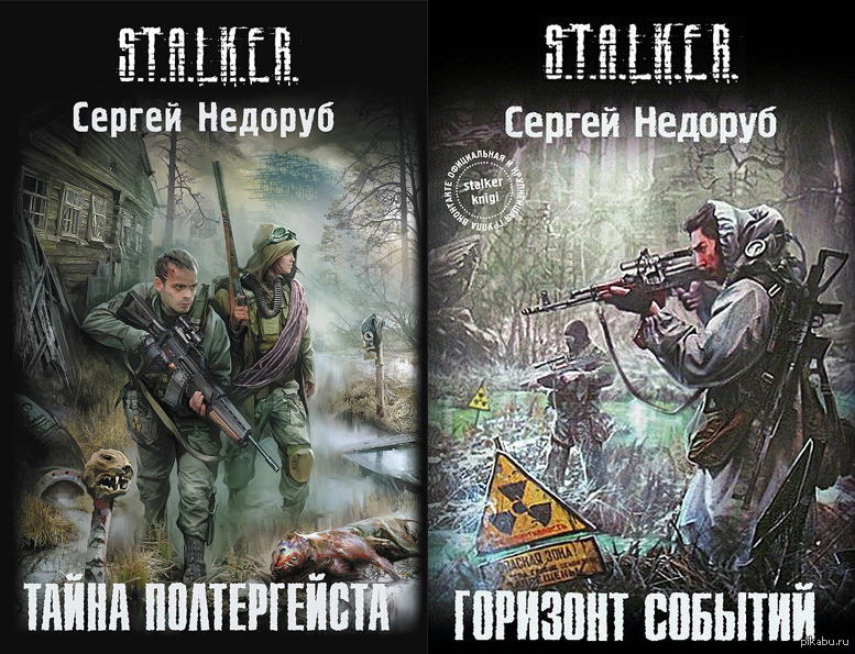 сергей недоруб сталкер книга. сергей недоруб горизонт событий. борланд сергей недоруб. сталкер сергей недоруб. сергей недоруб тайна полтергейста.