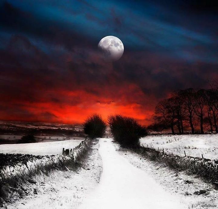 Луна взошла багровая и хмурая. Пейзаж с луной. Пейзаж ночь. Мрачный пейзаж. Зимний ночной пейзаж.