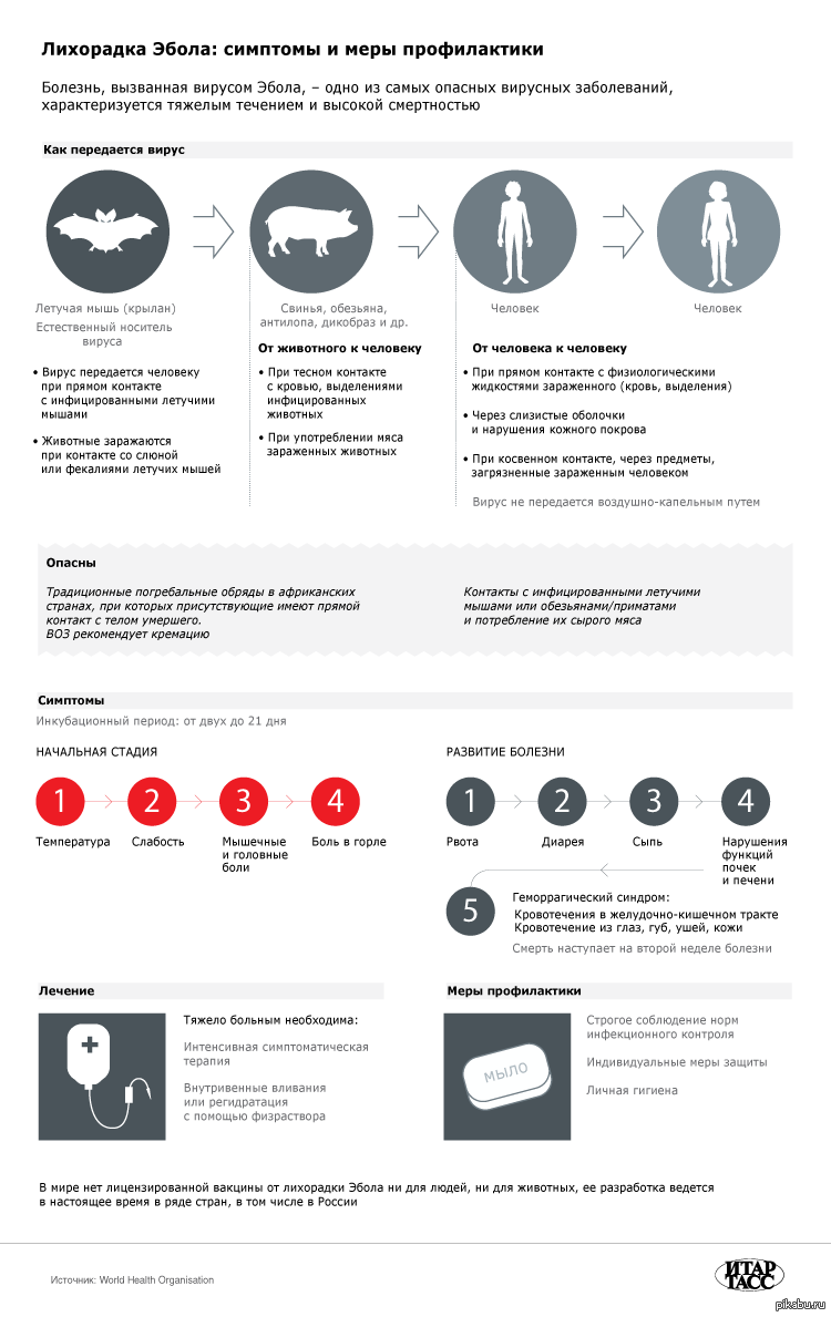 Лихорадка эбола инкубационный период. Геморрагическая лихорадка Эбола. Лихорадка Эбола пути заражения. Лихорадка Эбола профилактика. Лихорадка Эбола симптомы.