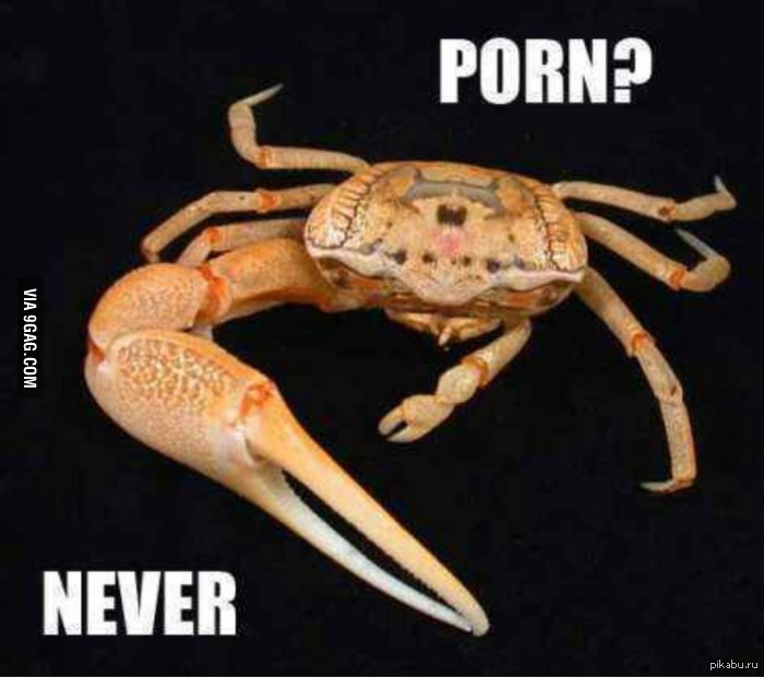 Crab Dildo