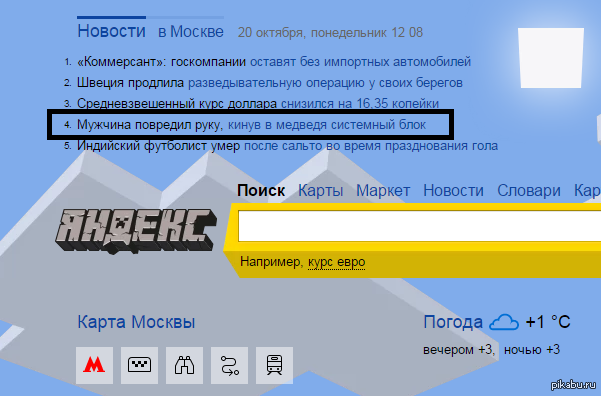 In Russia, this is in the order of things - My, news, Yandex News, Russia, The Bears, Curiosity