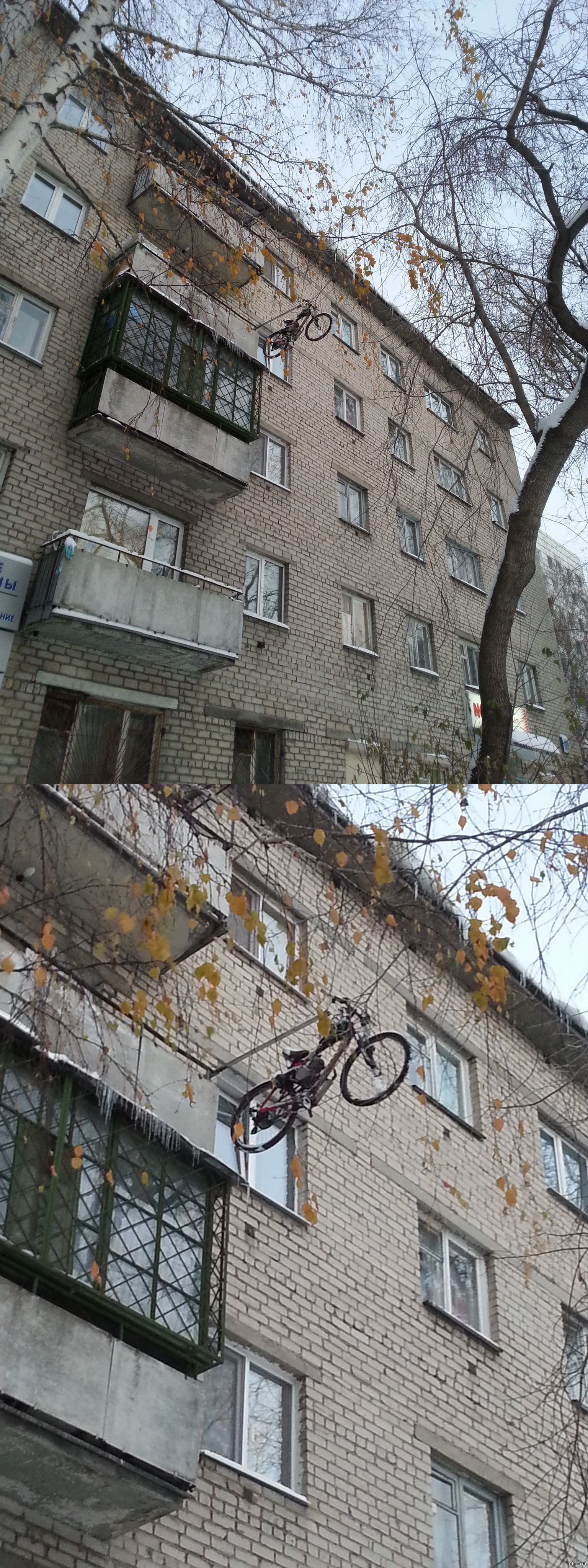 Велосипед | Пикабу