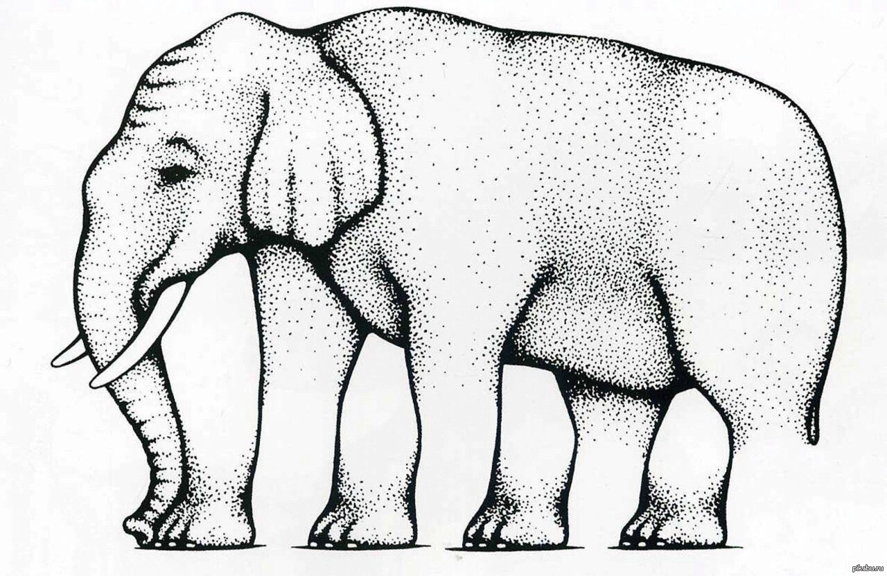 Обувающие в значении обманывающие. Невозможный слон Шепарда. Оптические иллюзии. Иллюзия со слоном. Оптическая иллюзия слон.