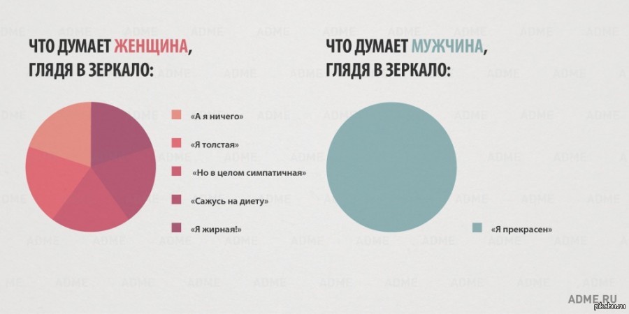 Инфографика | Пикабу