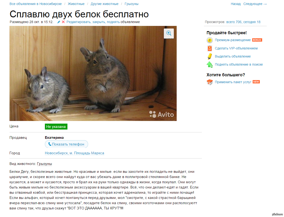 Еще немного безумных объявлений с Авито | Пикабу