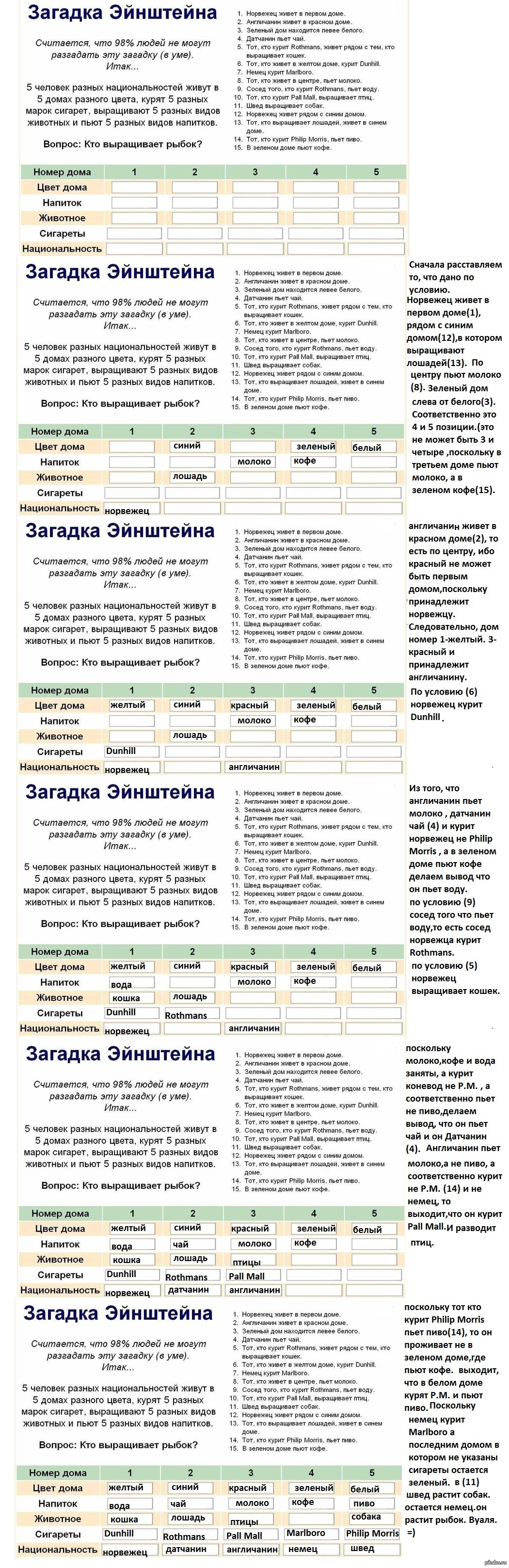 Загадка эйнштейна. Задача Эйнштейна про 5 домов таблица. Задача Эйнштейна про пять домов. Логическая задача Эйнштейна про пять домов. Загадка Эйнштейна про 5 домов ответ решение.