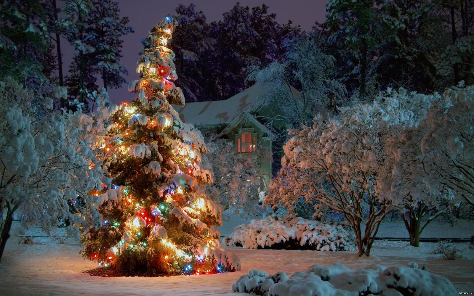Красивое видео нового года. Новогодняя елка. Зима новый год. Красивая Новогодняя елка. Новогодний пейзаж.