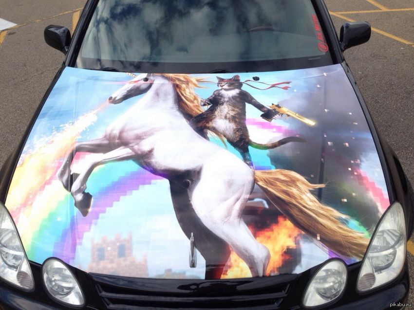 Airbrushing - Airbrushing, cat, Unicorn by car