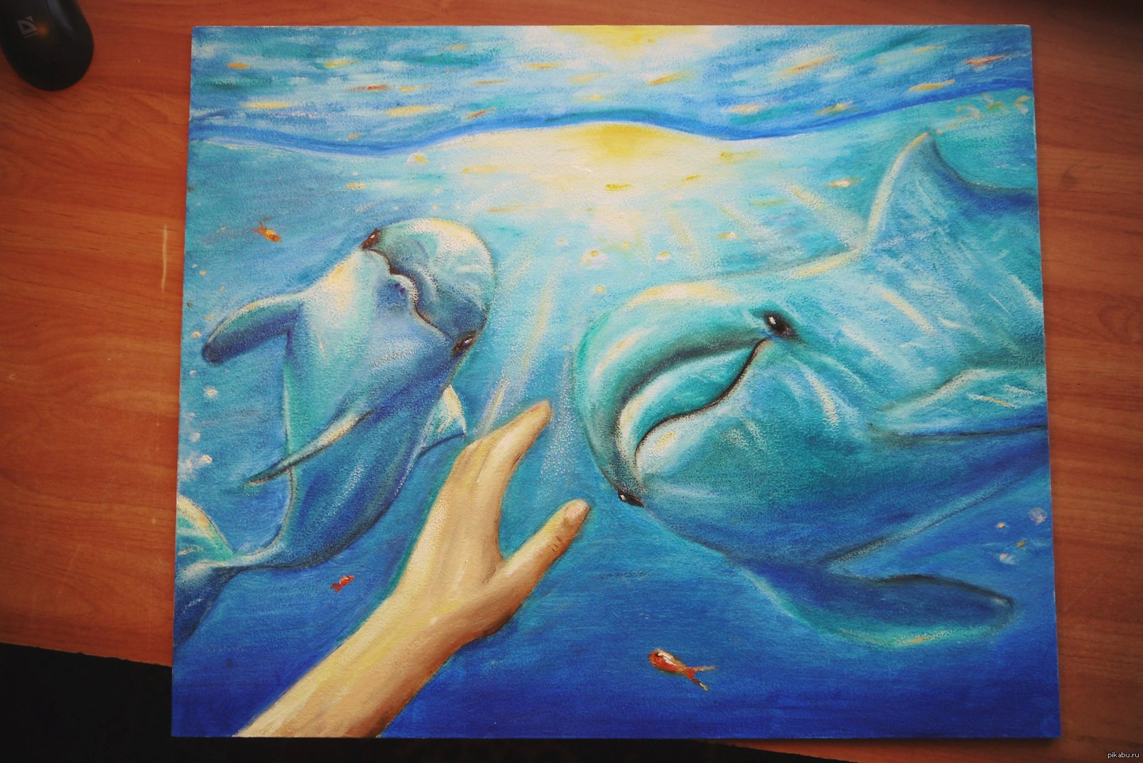 Дельфины пастелью