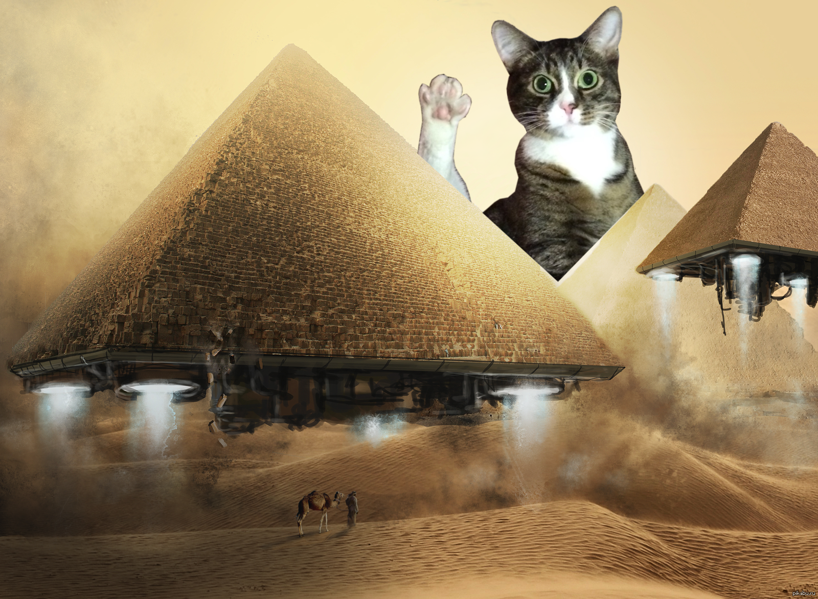 Мем С Котом Египта