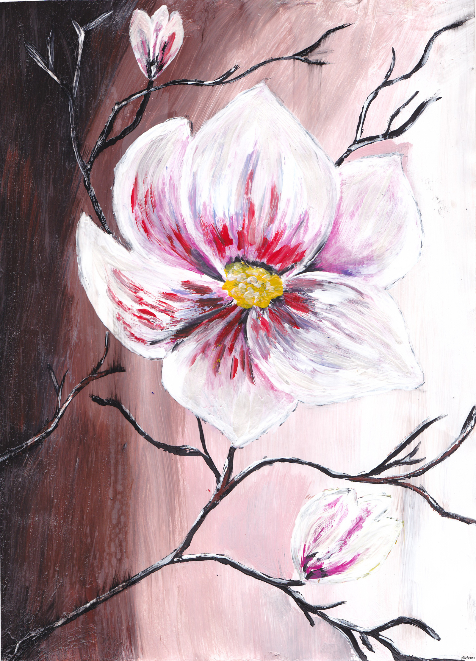 Как нарисовать орхидею (62 фото) » Рисунки для срисовки и не только