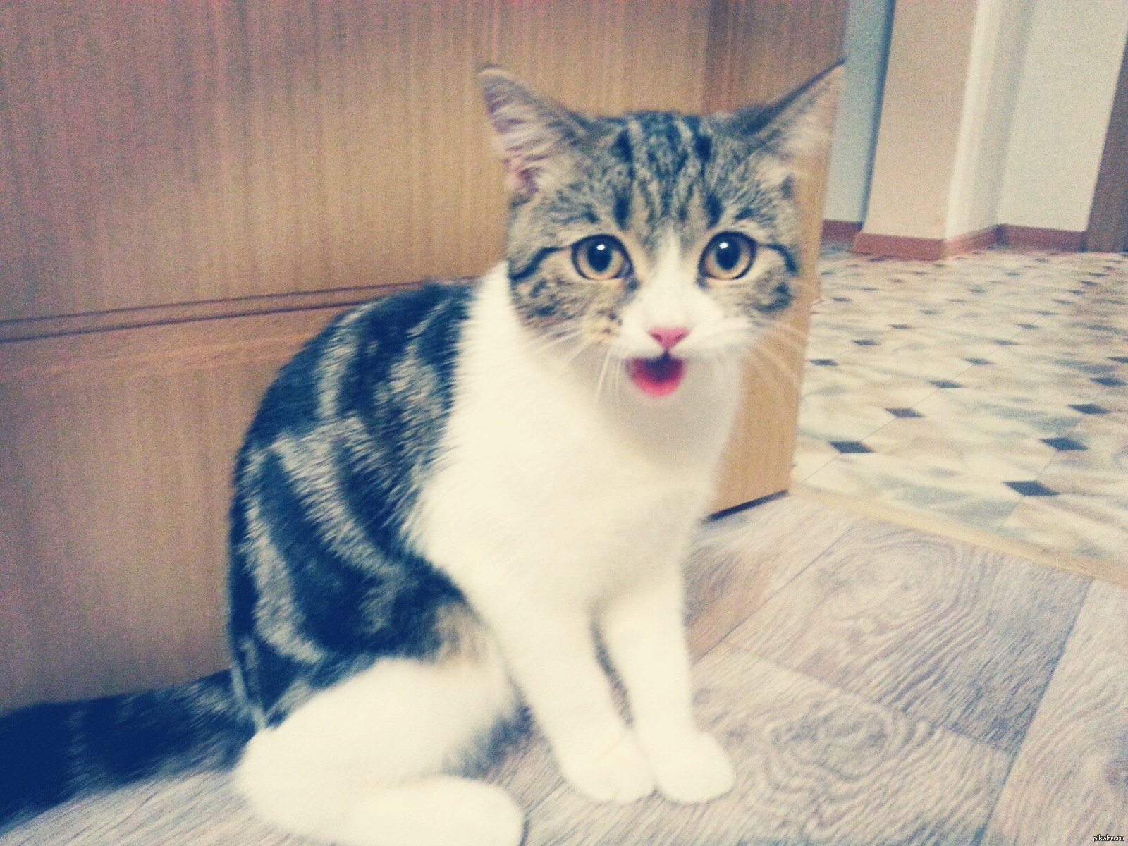 Внезапно | Пикабу