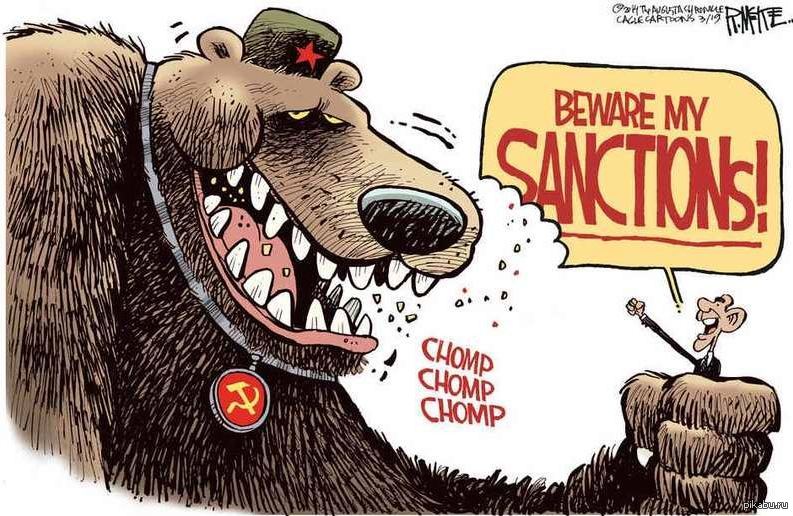 Санкции носят исключительно порицательный характер верно