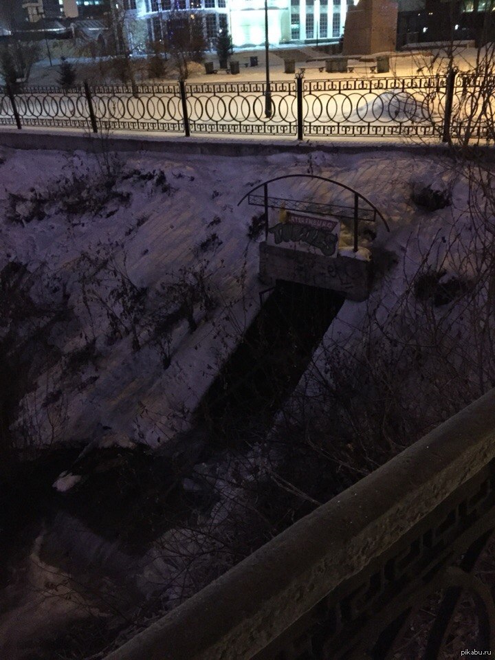 Черепашки-ниндзя | Пикабу