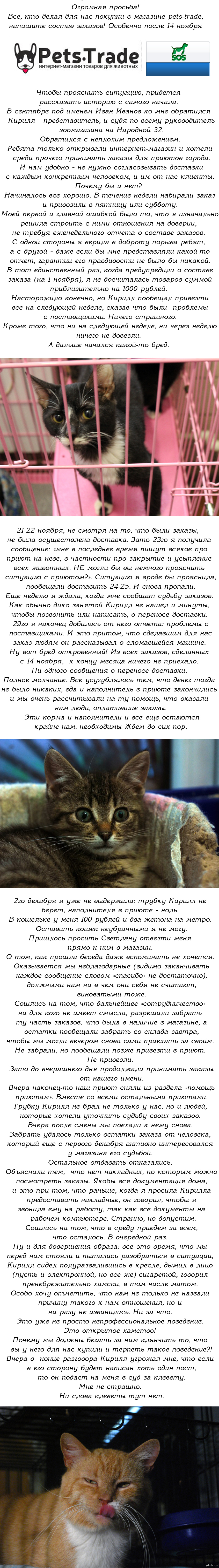 Это очень важно! - Моё, Приют на Неве, Длиннопост, Зоомагазин, Pets-Trade, Интернет-Магазин, Хамство, Кот