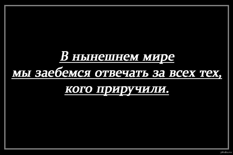 Маленький принц:) | Пикабу