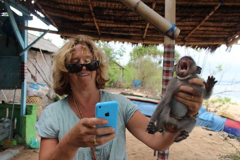 Help me. - The photo, A real man, Monkey, Animals