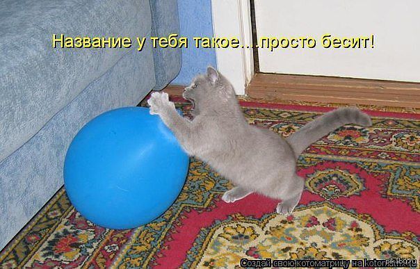 Просто не беси. Вот гад. Котоматрица день рождения надуваем шарики. Кот гаденыш. Вот гады картинки.