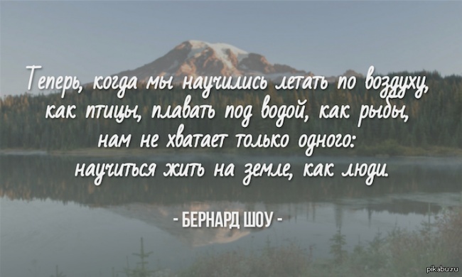 Высказывания о воде. Высказывания о птицах и человеке. Афоризмы о птицах и людях. Цитаты про птиц со смыслом. Мудрые высказывания о птицах.