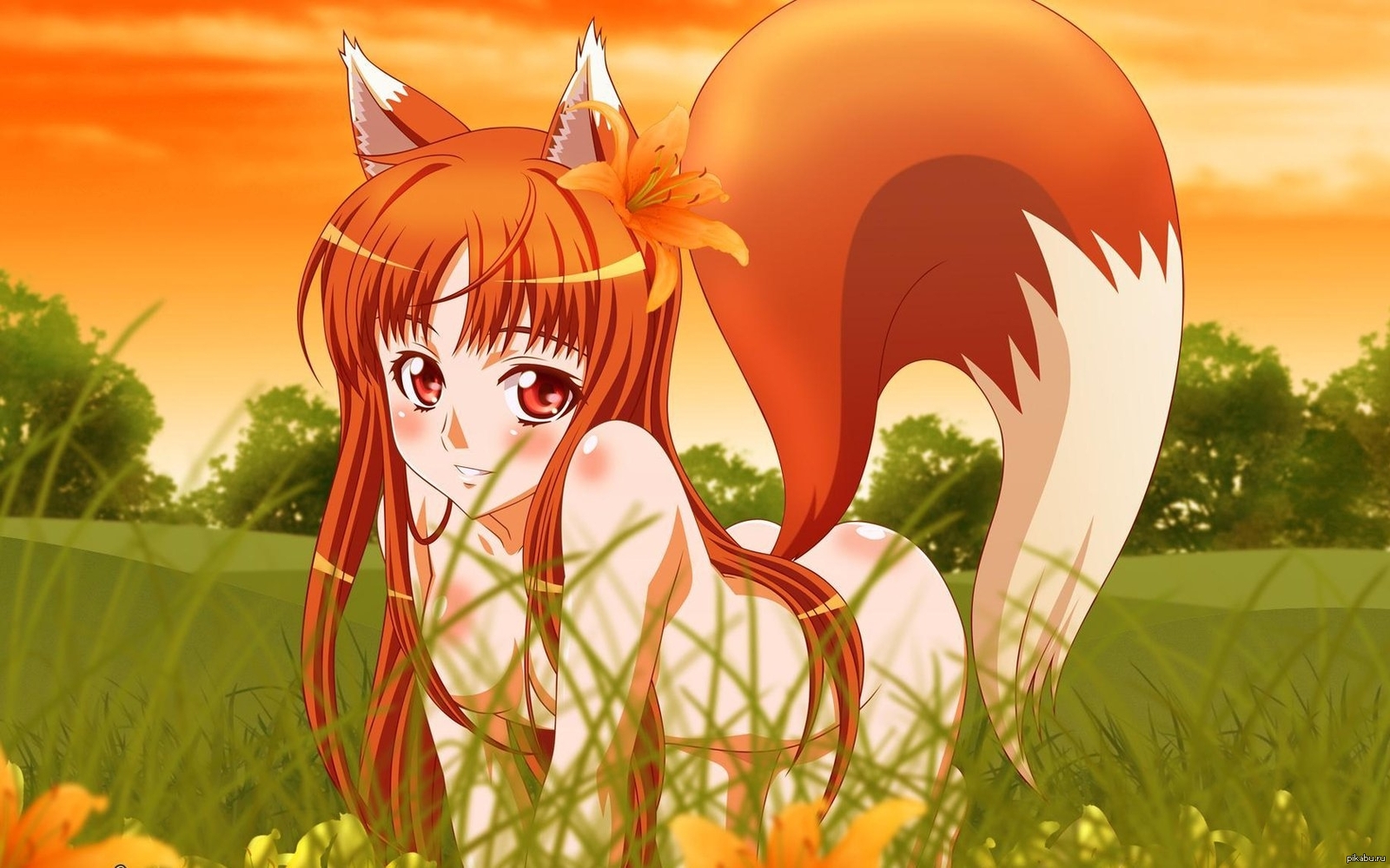 Ookami to Koushinryou - NSFW, Spice and Wolf, Horo holo, Anime, Anime art, Art