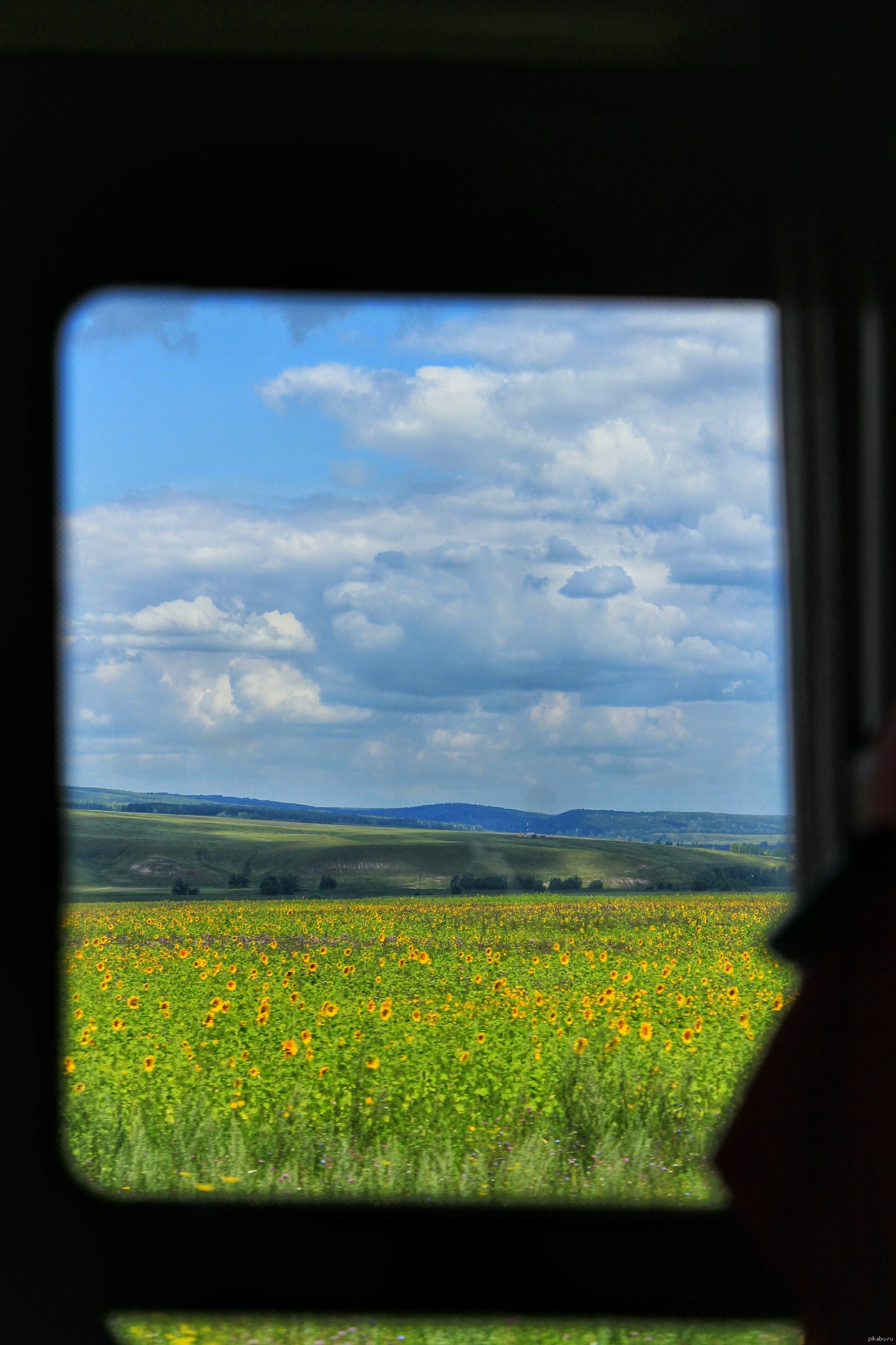 Оренбургские поля | Пикабу