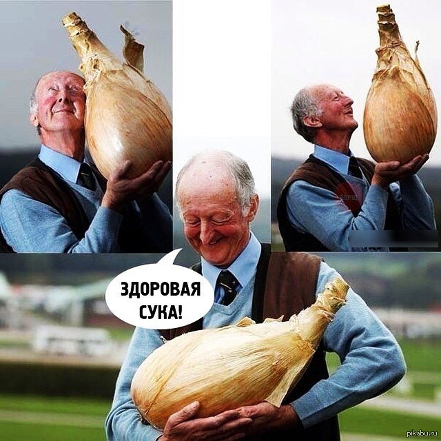 Самый счастливый дед | Пикабу