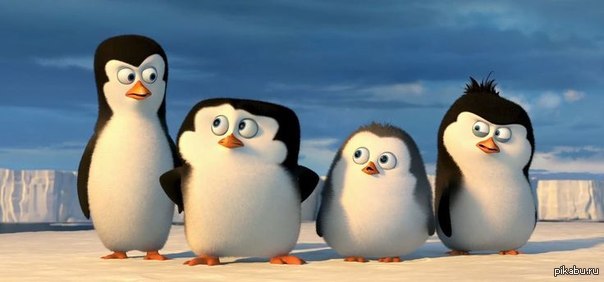 Pinguinos me la van a mascar