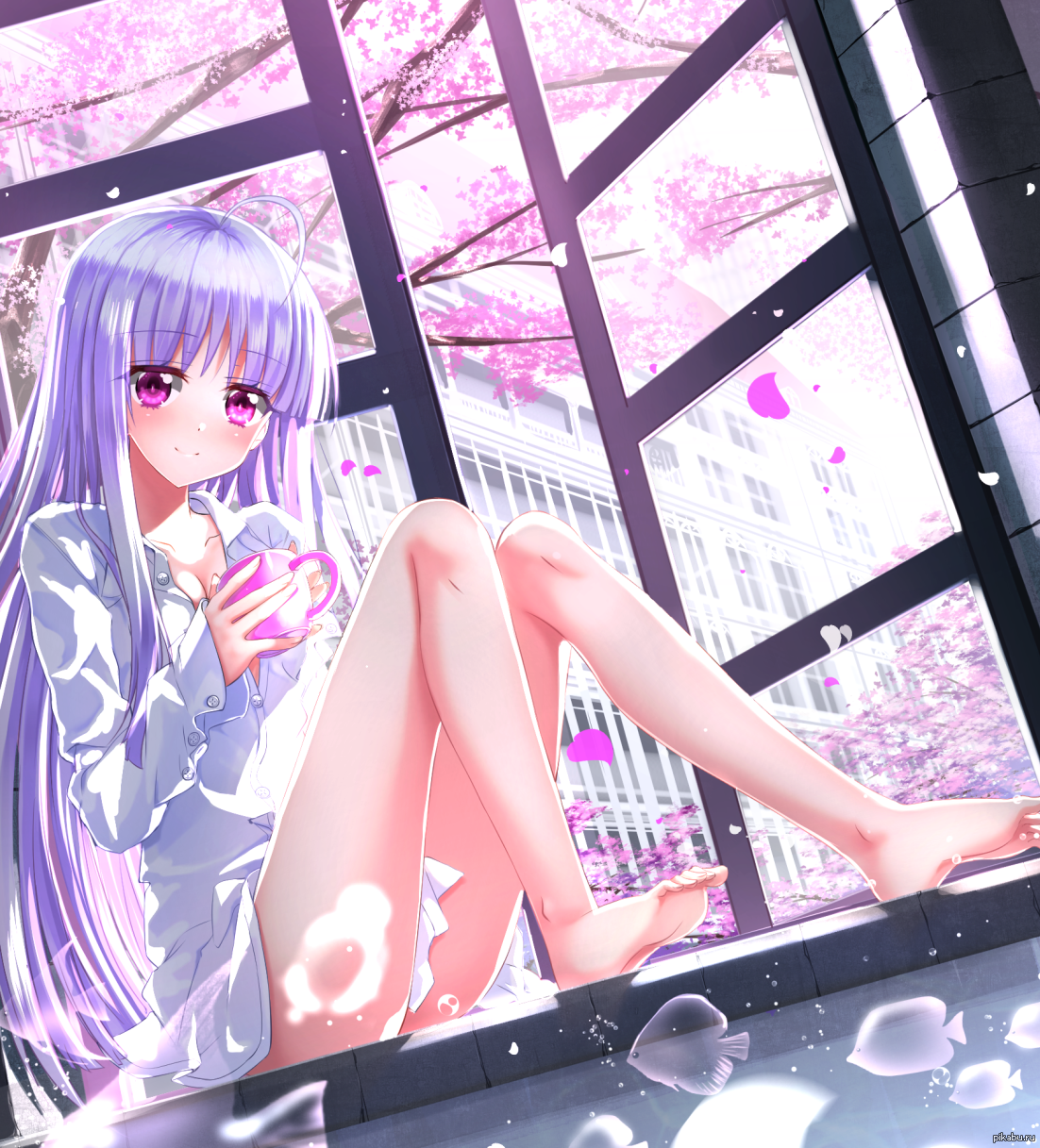 Absolute girls. Absolute girls. Юрия сигтуна. Absolute girls. Absolute girls.