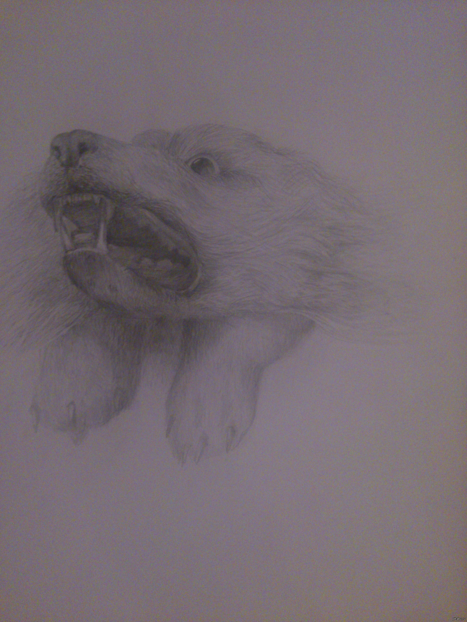 You won't surprise anyone like this, but I like it. - My, Wolf, Wolf, Drawing, Olga Borodulina, Empikarmany, 